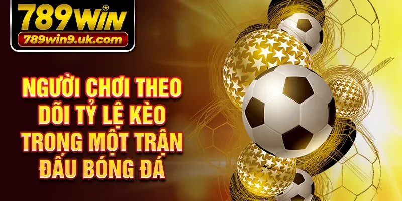 Người chơi theo dõi tỷ lệ kèo trong một trận đấu bóng đá
