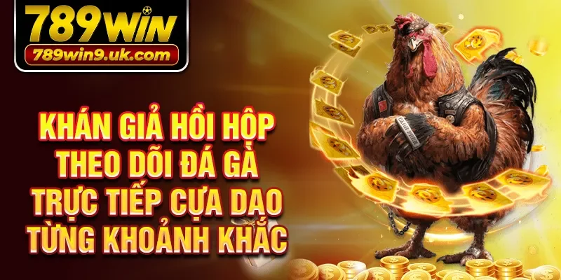 Khán giả hồi hộp theo dõi đá gà trực tiếp cựa dao từng khoảnh khắc 