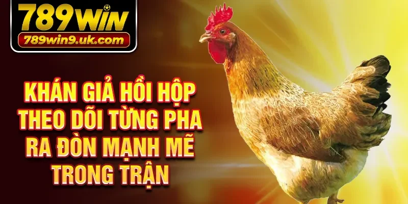 Khán giả hồi hộp theo dõi từng pha ra đòn mạnh mẽ trong trận