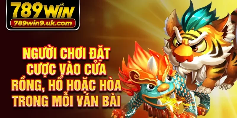 Người chơi đặt cược vào cửa Rồng, Hổ hoặc Hòa trong mỗi ván bài 