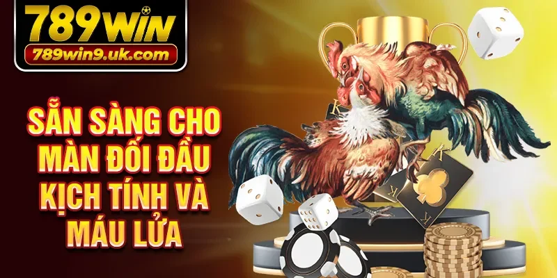 sẵn sàng cho màn đối đầu kịch tính và máu lửa.