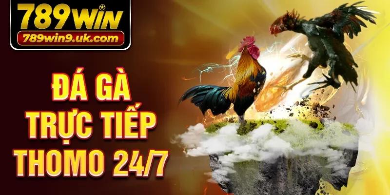 đá gà trực tiếp thomo 24/7